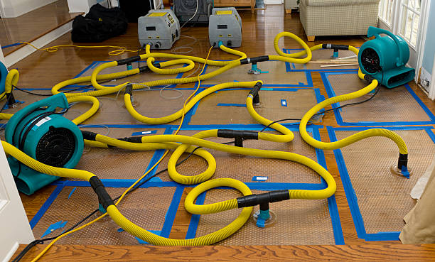 Professional Sewage Cleanup technician working in China Spring, TX
